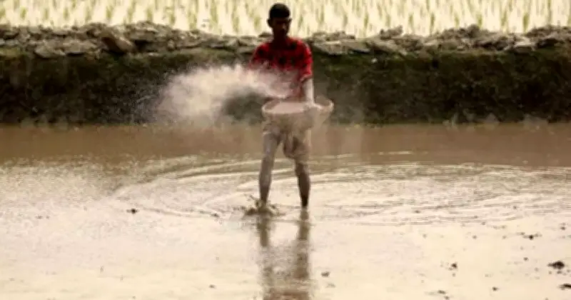 সংসদে কৃষিমন্ত্রী: সার বিক্রিতে উচ্চমূল্যের কোনো সুযোগ নেই, সর্বোচ্চ নজরদারি চলছে