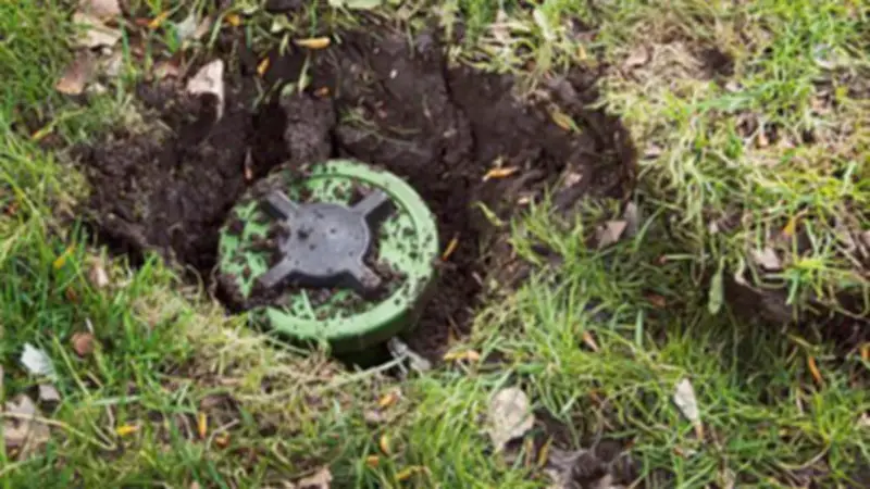 রোহিঙ্গা যুবকের পা বিচ্ছিন্ন, নেইমার বিতর্ক, চ্যাম্পিয়ন্স লিগ সেমিতে আতলেতিকো