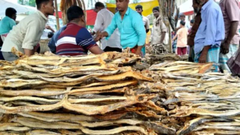 ব্রাহ্মণবাড়িয়ার নাসিরনগরে শতবর্ষী শুঁটকি মেলা, ঐতিহ্য ও বাণিজ্যের মেলবন্ধন