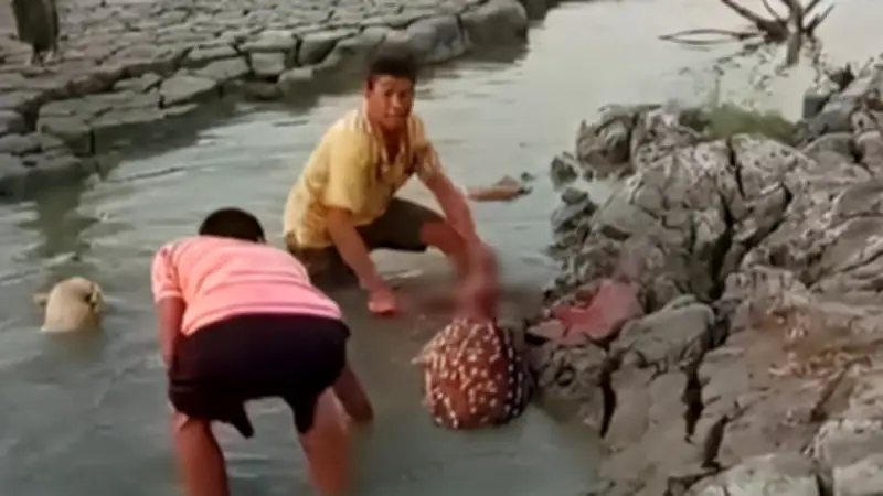 বনানীতে বউ মেলায় নারীদের ভিড়, কুয়াকাটায় মৃত কচ্ছপ ভেসে এলো, অনলাইন ক্লাস চালু