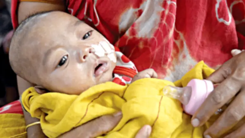 বনানীতে বউ মেলায় নারীদের ভিড়, হরিণ জবাই ভিডিও ভাইরাল