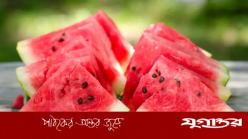 তরমুজের বীজ নিয়ে বিরক্তির দিন শেষ: জাপানি কৌশলে সহজ সমাধান