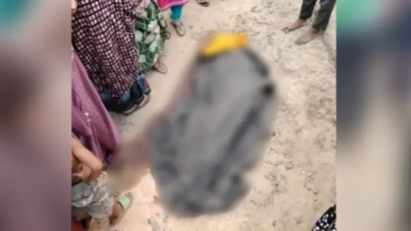 কাভার্ড ভ্যানে মা-ছেলে নিহত, বন্ধুর কুড়ালে প্রাণহানি, জ্বালানি মজুতের দায়ে কারাদণ্ড