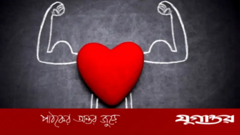 হার্ট সুস্থ রাখতে বর্জনীয় ৪ খাবার: বিশেষজ্ঞের পরামর্শ