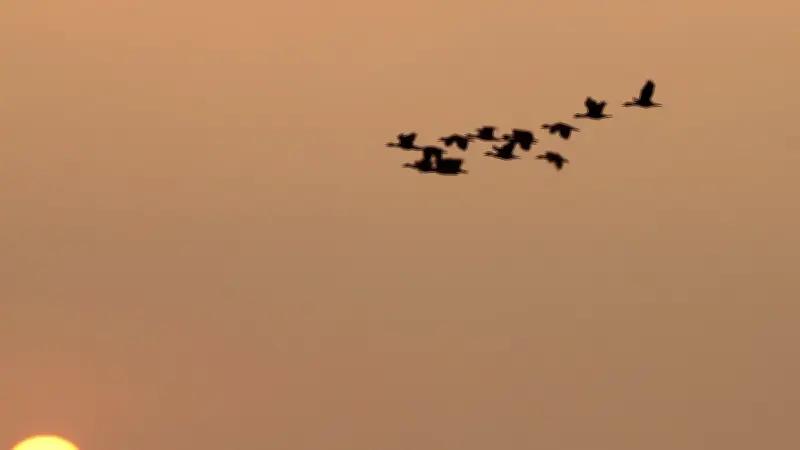 বাংলাদেশের প্রাকৃতিক ও সাংস্কৃতিক সৌন্দর্যের একঝলক: ১৬ এপ্রিলের চিত্রমালা