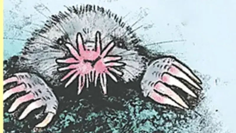 বাংলাদেশের সিনেমা শিল্পে নতুন সম্ভাবনা: ডিজিটাল প্ল্যাটফর্মের উত্থান