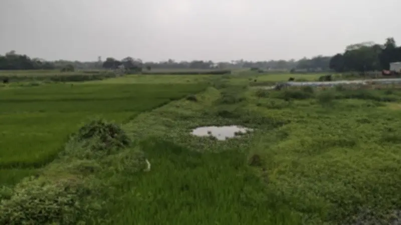 স্বাস্থ্য সুরক্ষায় হাত ধোয়া অপরিহার্য, প্রধানমন্ত্রী স্বাধীনতা পুরস্কার প্রদান করেন