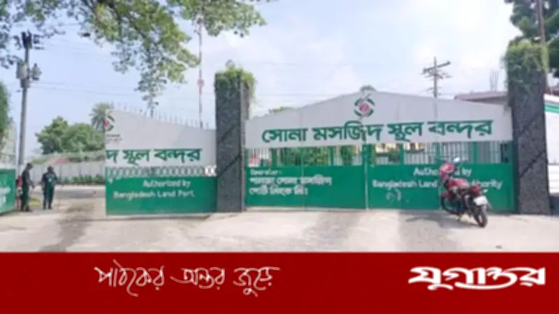 শুল্ক ফাঁকি দিতে 'লাল ঘাস' ঘোষণা দিয়ে জব্দ ৮ কোটি টাকার জাফরান