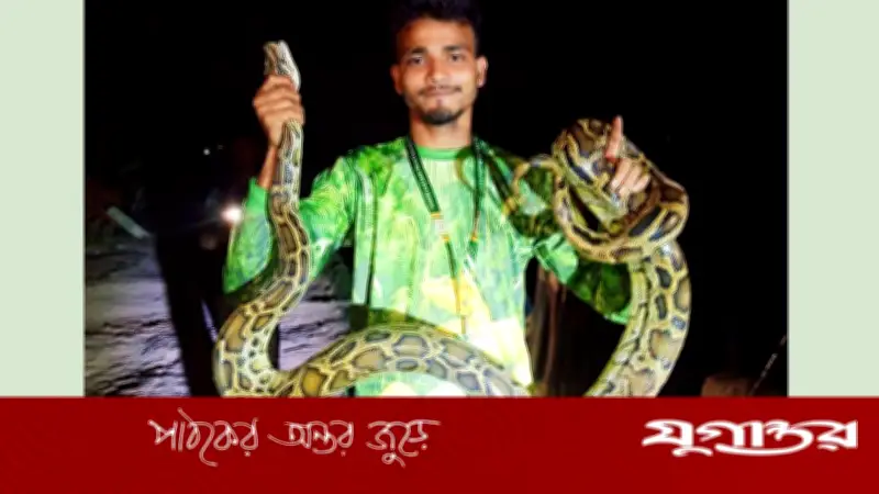 হাটহাজারীতে ৮ ফুট দৈর্ঘ্যের ১২ কেজি ওজনের অজগর সাপ উদ্ধার, বনে অবমুক্ত হবে