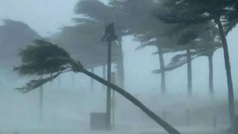 বিচারপতি মনিরুজ্জামান হাইকোর্টে ৬৩ বেঞ্চ গঠন, মেসির বিরুদ্ধে মামলা ও ডলফিন মৃত্যু