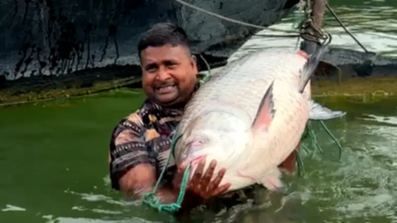 বাংলাদেশে অনলাইন শিক্ষার নতুন সম্ভাবনা: প্রযুক্তির মাধ্যমে শিক্ষার প্রসার