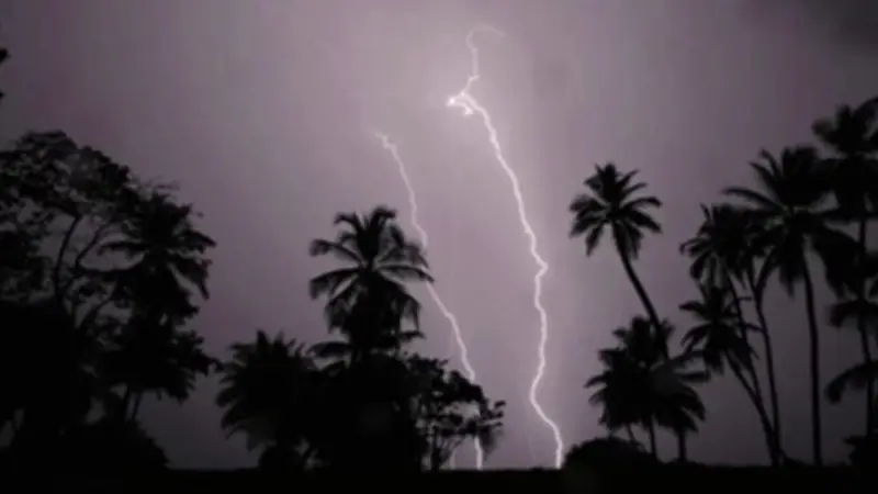 চুয়াডাঙ্গায় বজ্রপাতে স্কুলছাত্রসহ দুইজনের মৃত্যু, যশোরে কালবৈশাখীতে একজনের প্রাণহানি