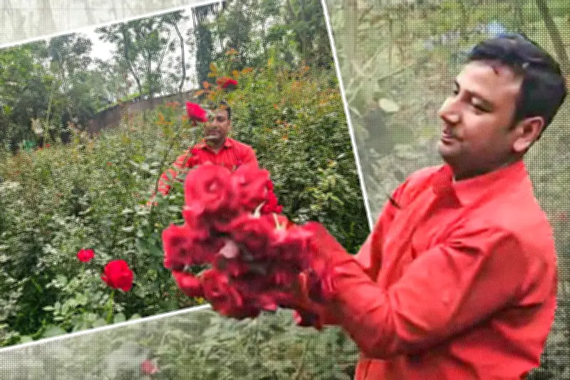 বাংলাদেশে অনলাইন শিক্ষার চ্যালেঞ্জ ও সম্ভাবনা নিয়ে নতুন গবেষণা প্রকাশ