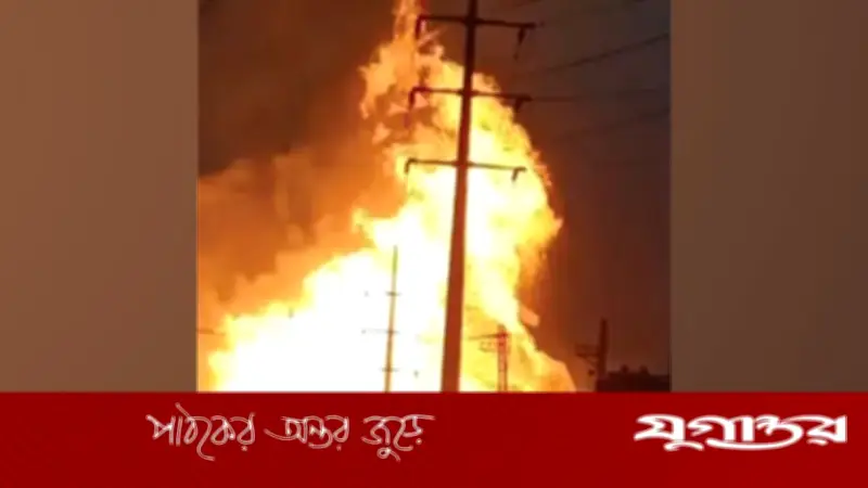 পাকিস্তানে গ্যাস বিস্ফোরণে একই পরিবারের ৮ সদস্যের মর্মান্তিক মৃত্যু