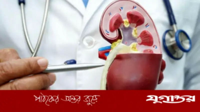 তাপপ্রবাহে বাড়ছে কিডনি রোগের ঝুঁকি, বিশেষজ্ঞদের সতর্কতা