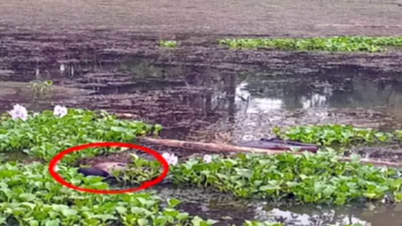 ইরানের সঙ্গে চুক্তি হলে সই করতে পাকিস্তান যেতে পারেন ট্রাম্প: আন্তর্জাতিক রাজনীতিতে নতুন মোড়