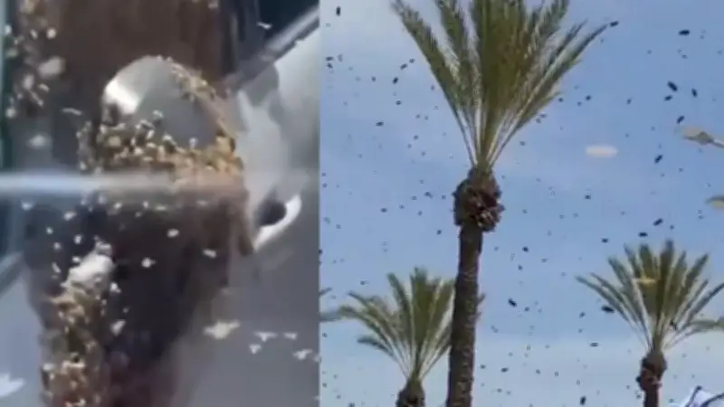 বিশ্বজুড়ে তাপমাত্রা বৃদ্ধি: জলবায়ু পরিবর্তনের ভয়াবহ প্রভাব