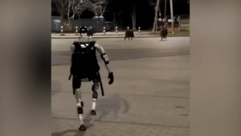 বিশ্বজুড়ে অনলাইন শিক্ষার জনপ্রিয়তা বাড়ছে, নতুন সম্ভাবনার দ্বার খুলছে