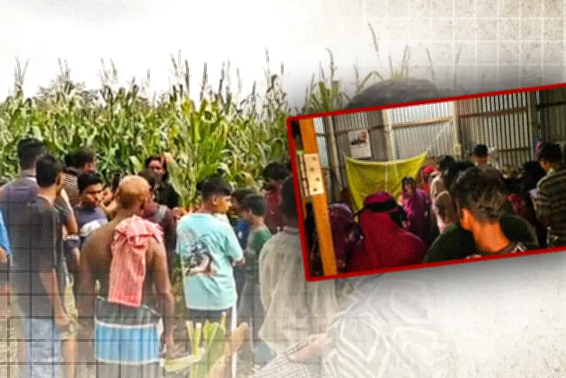 বাংলাদেশে অনলাইন শিক্ষার নতুন অধ্যায়: প্রযুক্তির মাধ্যমে শিক্ষার প্রসার