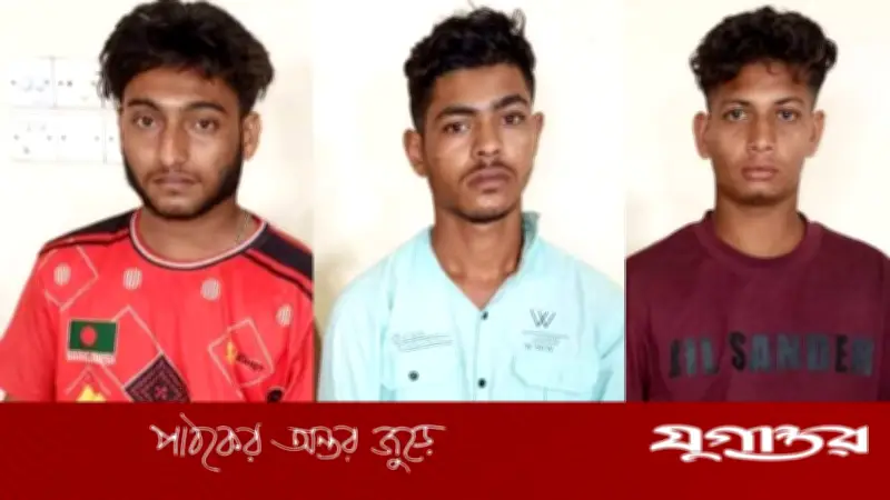 কুমিল্লায় স্বামীর কাছ থেকে গৃহবধূকে ছিনিয়ে ধর্ষণ: আরও দুইজন গ্রেফতার