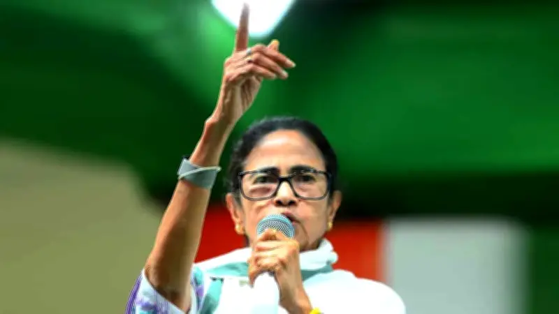 মমতা বন্দ্যোপাধ্যায়ের দাবি: তৃণমূলই জিতবে, বিজেপি ভোট ছিনিয়ে নিতে চায়