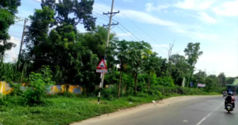 ঢাকা-আড়াইচা মহাসড়কে সন্ত্রাসের দাপট: দিনদুপুরে লুটপাট, নাগরিকদের আতঙ্ক