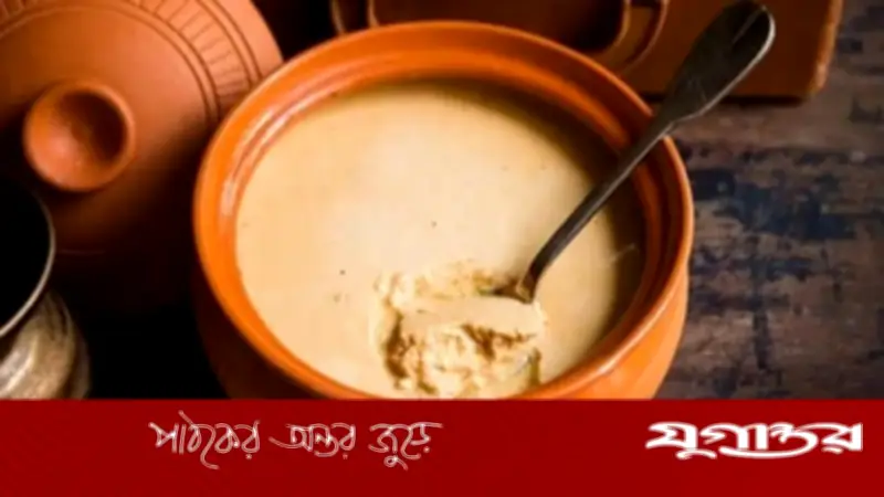গ্রীষ্মে দই খাওয়ার অপরিহার্যতা: স্বাস্থ্য উপকারিতা ও বিশেষজ্ঞ মতামত