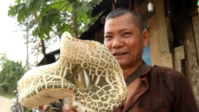 বাংলাদেশের বিভিন্ন প্রান্তের দৈনন্দিন জীবন: উচ্ছে থেকে আঙুর, মাশরুম থেকে ঝুঁকিপূর্ণ সেতু