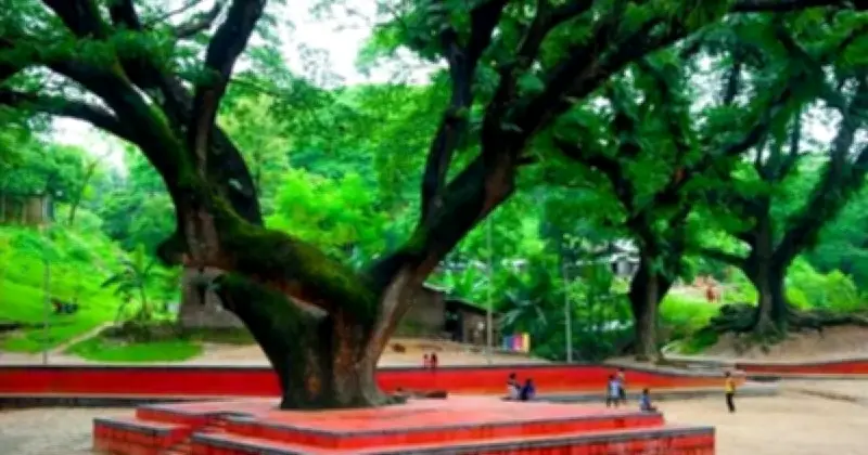 চট্টগ্রামের 'ফুসফুস' সিআরবিতে হাসপাতাল নির্মাণের নতুন উদ্যোগ, পরিবেশবাদীদের তীব্র প্রতিবাদ