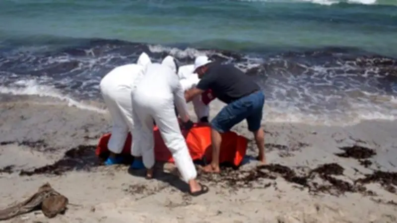 লিবিয়া উপকূলে বাংলাদেশিসহ ১৭ অভিবাসীর মরদেহ উদ্ধার, মালয়েশিয়ায় ডিজেল পাচার ও দেশে জ্বালানি সংকট