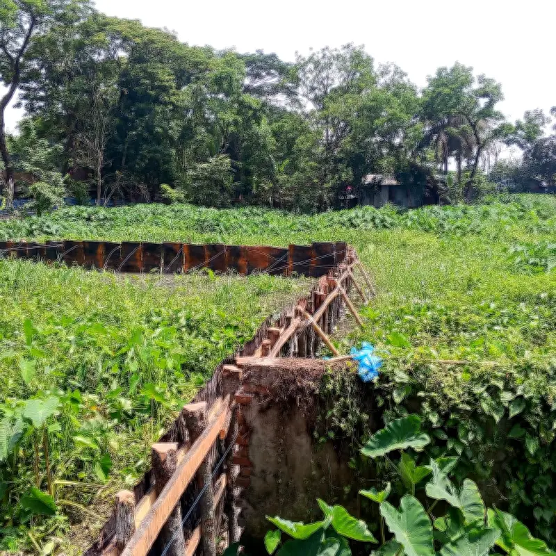 ঝালকাঠি পৌরসভার অনুমতিবিহীন জলাধার ভরাট করে ট্রাকস্ট্যান্ড নির্মাণ, আইন লঙ্ঘনের অভিযোগ