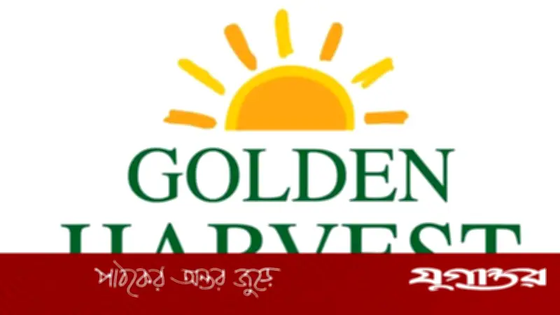 গোল্ডেন হারভেস্ট ইনফোটেকে ডাটা এন্ট্রি অপারেটর পদে ২০০ জনের নিয়োগ
