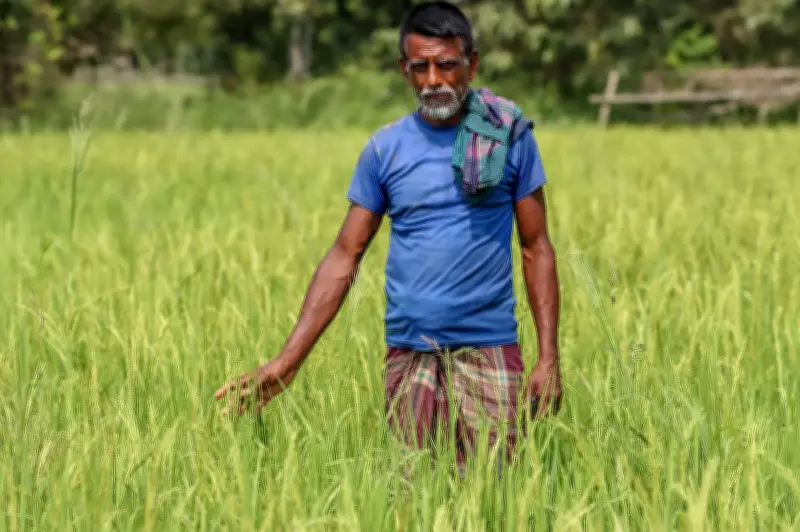 বিদ্যুৎ সংকটে বরিশালে বোরো সেচ ও ব্যবসা বিপর্যস্ত, কৃষকেরা দুশ্চিন্তায়