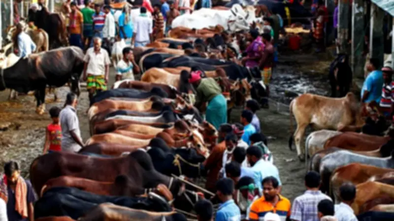 রাজধানীতে ২৬টি কোরবানির হাট বসবে, পুকুরে ডুবে শিশুর মৃত্যু, ভুয়া চিকিৎসকের কারাদণ্ড