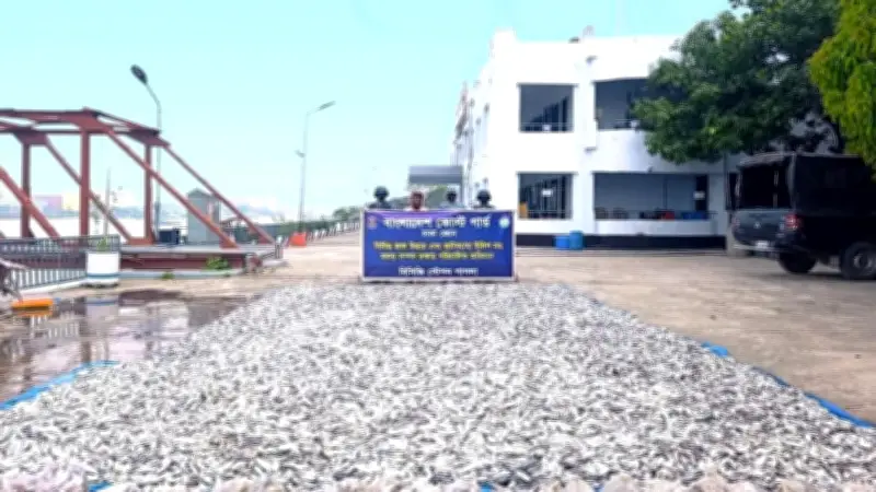 রাজধানীতে ২৬টি কোরবানির হাট, সোনারগাঁওয়ে জাটকা জব্দ, পিরোজপুরে ভুয়া চিকিৎসকের শাস্তি