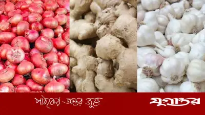 জ্বালানি তেলের দাম বৃদ্ধিতে নিত্যপণ্যের বাজারে লাগামছাড়া মূল্যবৃদ্ধি