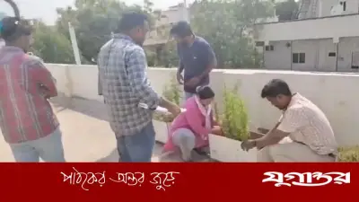 ভারতের হায়দ্রাবাদে সফটওয়্যার ইঞ্জিনিয়ারের ছাদে গাঁজা চাষ, গ্রেফতার