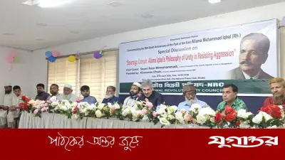 ইরানি কূটনীতিকের কৃতজ্ঞতা: বাংলাদেশের সমর্থনে ইরান যুদ্ধে জয়ী, আল্লামা ইকবালের দর্শনে ঐক্যের আহ্বান