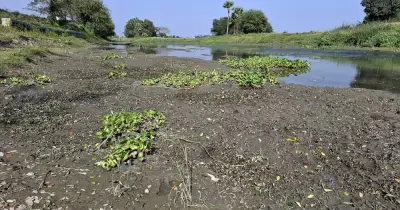 বলুয়া খালের নাব্যতা সংকটে বিপর্যস্ত গোপালগঞ্জের ব্যবসা-বাণিজ্য ও কৃষি
