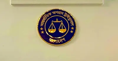 বিটিসিএল কর্মকর্তার জবানবন্দি: পলকের ফোনে ইন্টারনেট বন্ধের সময় জানতে চাওয়া