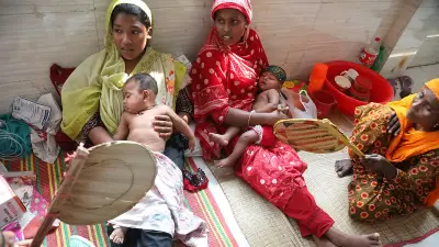 জ্বালানি সংকটে পাবনায় কৃষি ও দৈনন্দিন জীবন বিপর্যস্ত, সোলার সেচে আশার আলো