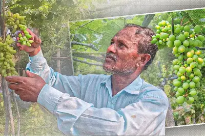 স্বপ্নের পথে বাংলাদেশের তরুণ প্রযুক্তি উদ্যোক্তারা