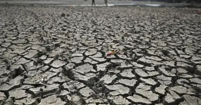 এল নিনো ফিরছে ২০২৬ সালের মাঝামাঝি, বিশ্ব উষ্ণতার রেকর্ড ভাঙার আশঙ্কা