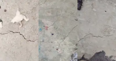 গাজীপুরের শ্রীপুরে ৭০ লাখ টাকার নতুন সড়কে ফাটল, নিম্নমানের উপকরণ ব্যবহারের অভিযোগ