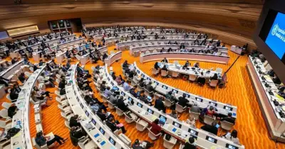 জেনেভায় বাংলাদেশ মিশনের সক্রিয় কূটনীতি বিশ্ব দরবারে প্রশংসিত