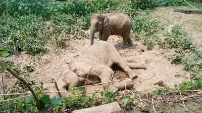 বাংলাদেশে নতুন শিক্ষানীতি অনুমোদন