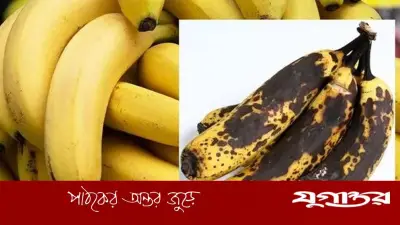 গরমেও কলা পচবে না, জেনে নিন সংরক্ষণের ৬ কার্যকরী উপায়