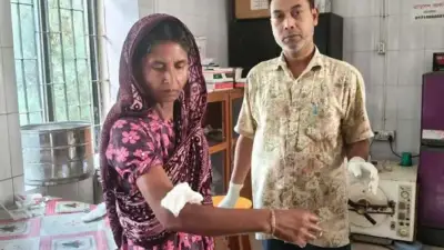 কুকুরের কামড়ে অর্ধশতাধিক আহত, আইপিএল ভেন্যুতে নাশকতা