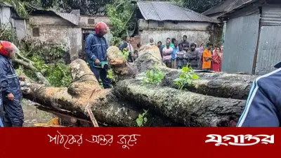 বগুড়ায় কালবৈশাখী ঝড়ে গাছচাপায় পান ব্যবসায়ীর মৃত্যু
