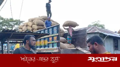 বাগেরহাটে ধানের দামে ধস, লোকসানে কৃষকরা